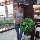 ���� ������, ������, 43 ���� - ��������� 24 ���� 2012 � ������ �������