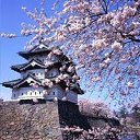 ���� Svetlana, ������, 59 ��� - ��������� 31 ����� 2011 � ������ ���� �������� �������