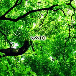 ���� Alex, ����, 43 ���� - ��������� 23 ������ 2012
