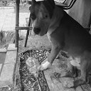 ���� �����, ����, 39 ��� - ��������� 25 ������ 2012 � ������ �������