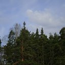 �.�������� ���� � ���� �� ������� ���� ������������.�