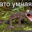 ���� �����, ������������ - ��������� 17 ���� 2010 � ������ ��������