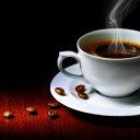 ���� �������, ������� - ��������� 7 ���� 2012 � ������ ����Ż