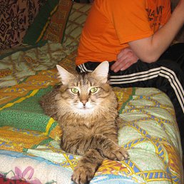 ���� �������, ������, 49 ��� - ��������� 7 ������ 2013