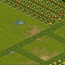  ,  -  12  2013   Tropikania