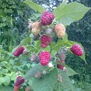 ���� Igor V, ������, 49 ��� - ��������� 2 ���� 2013 � ������ ���� ����������