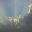 ���� ����, ���������, 44 ���� - ��������� 18 ������� 2009 � ������ �������