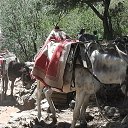 ���� � ������ ����� _ 500 ������ � ����. ��� �����, ������ � ���� �� ������. �� ������� ����һ