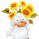 ���� Mhmad, ������, 48 ��� - ��������� 28 ������ 2012 � ������ ���� ����������