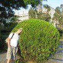 ���� �������, �����-���������, 47 ��� - ��������� 26 ���� 2011