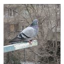 ���� �������, ����� - ��������� 26 ������� 2012 � ������ ���� ����������