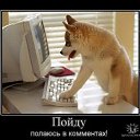���� �����, ������, 68 ��� - ��������� 16 ���� 2010 � ������ ���������