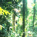 � ����!!!!!!!!!!!! �� ������� ���� ����������