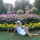 ���� �������, ����-���, 51 ��� - ��������� 31 ������� 2012 � ������ ���� ����������