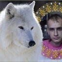 ���� Volf, ������, 42 ���� - ��������� 22 ������ 2012 � ������ ���