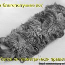 ���� ˸��, ����, 44 ���� - ��������� 26 ���� 2012 � ������ ������