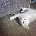 ���� �������, ������, 45 ��� - ��������� 14 ������ 2013 � ������ ���� ����������