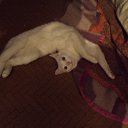 ���� ����, ����-���, 59 ��� - ��������� 8 ���� 2013 � ������ ����� ��� ������������