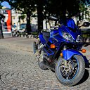 ���� �����, �����-���������, 45 ��� - ��������� 23 �������� 2012 � ������ �������