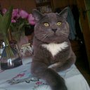 ���� Gintasxxx, ������, 62 ���� - ��������� 6 ���� 2012 � ������ ����