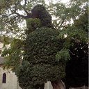 ���� ����, �����, 27 ��� - ��������� 5 ����� 2011 � ������ �France) ��� �����