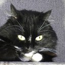 ���� ����, ������� - ��������� 24 ��� 2013 � ������ ���� ����������