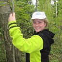 ���� �������, ������ - ��������� 2 �������� 2012 � ������ ���� ����������