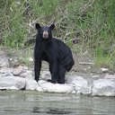 ���� Alexandr, �������������, 48 ��� - ��������� 28 ������ 2010 � ������ ���� ����������