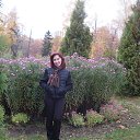 ���� �����, ������, 60 ��� - ��������� 8 ������� 2013