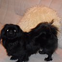 ���� �������, ������ - ��������� 4 ������ 2011 � ������ ������!!!!!!!!!!!!!!!!!!�