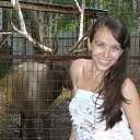 ���� �����, ���, 44 ���� - ��������� 26 ���� 2013 � ������ ���� ����������