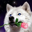 ���� ����, �����������, 48 ��� - ��������� 23 ������� 2012 � ������ �������