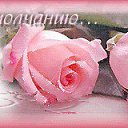 ������ ������� - ����� ����������� ������ ���������! �� ������� ���� ����������