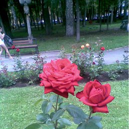 ���� �������, ����� - ��������� 30 ������� 2011