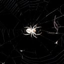 ���� ����, ��������, 45 ��� - ��������� 11 ������� 2011