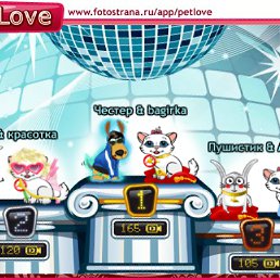 ���� ���������, ������, 33 ���� - ��������� 10 ���� 2011