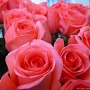 ���� ����, �������, 34 ���� - ��������� 21 ����� 2011 � ������ ���� ����������