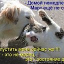 ���� �����, �������, 36 ��� - ��������� 29 ������ 2010 � ������ ���������