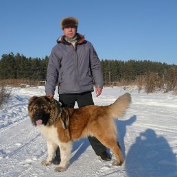 �������, ������������, 58 ���