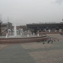 ���� ϸ��, ���������, 71 ��� - ��������� 24 ��� 2011 � ������ ���������