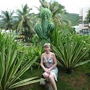 ���� �������, ���������, 49 ��� - ��������� 27 �������� 2011 � ������ �������ܻ