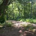 ���� ������(�������), �����, 61 ��� - ��������� 6 ���� 2011 � ������ ���� ������