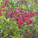 ���� ����, ������, 39 ��� - ��������� 9 ������� 2009 � ������ ����.....������...!!!!!!!!!!)))))))�