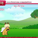  ¤Hs¤, , 85  -  23  2011   PetLove