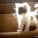 ���� ��� ����� :D, ����� - ��������� 30 ����� 2013 � ������ ������ ��������