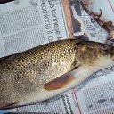 ���� Artiom, �����, 34 ���� - ��������� 20 ����� 2012 � ������ �preroda 2�