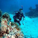 ���� ������, ������ - ��������� 18 ������ 2011 � ������ ���� ����������