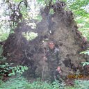 ���� ����, ����������, 48 ��� - ��������� 12 ������� 2012 � ������ ���� ����������