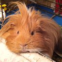 ���� ����, �����, 69 ��� - ��������� 24 ������ 2011 � ������ �������