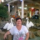 ���� �����, ��������� - ��������� 23 ��� 2013